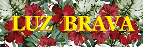 BRAVAS.SHOP